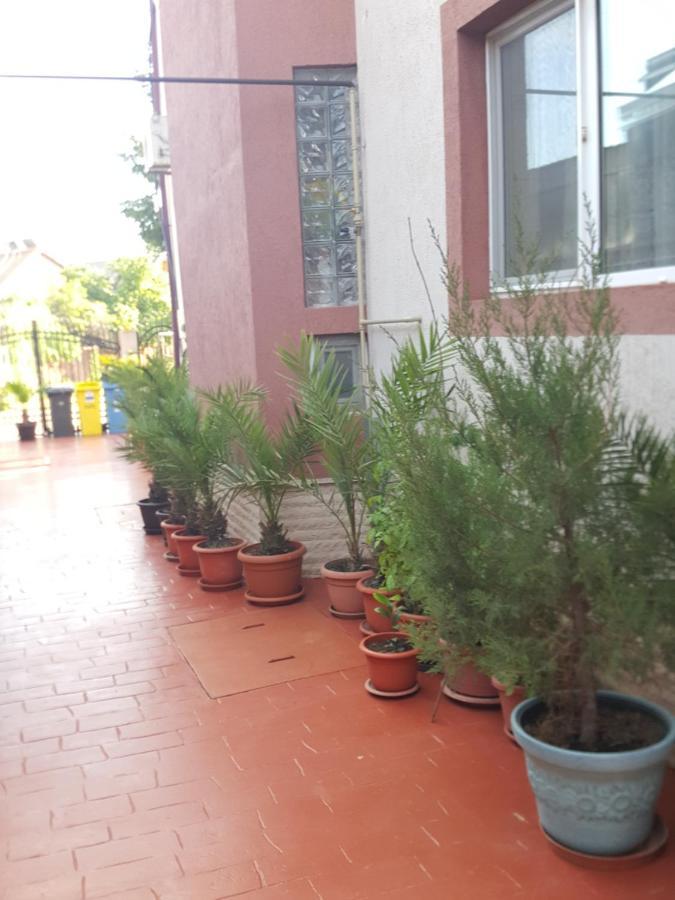 Vila Liz Eforie Nord Hotel Exterior photo